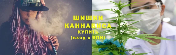 винт Лабытнанги