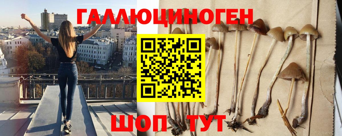 Псилоцибиновые грибы мухоморы  Вход с VPN  Псилоцибиновые грибы мицелий  что такое   Ялта 
