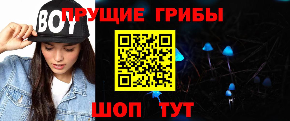 Псилоцибиновые грибы Psilocybine cubensis Ялта